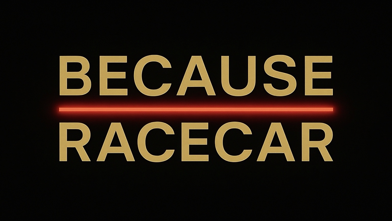 BECAUSE RACECAR Grafik